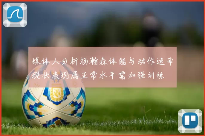 媒体人分析杨瀚森体能与动作速率现状表现属正常水平需加强训练